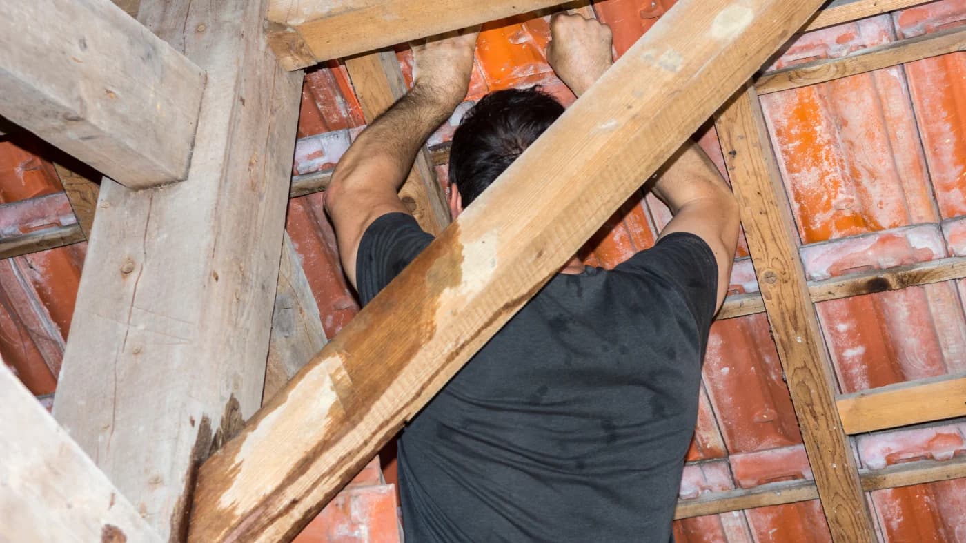 Universal Roof & Contracting inspector checking attic sheathing for moisture during a Florida roof inspection