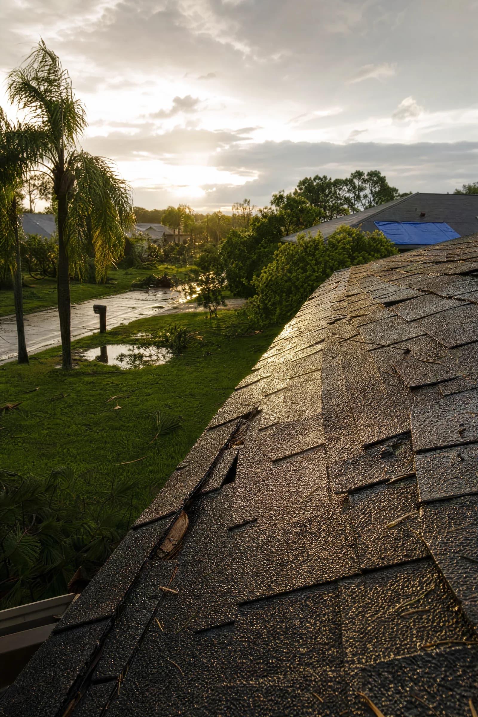 Wind-damaged asphalt shingle roof with lifted and missing shingles