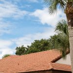 Tile Roof Under Tropical Trees