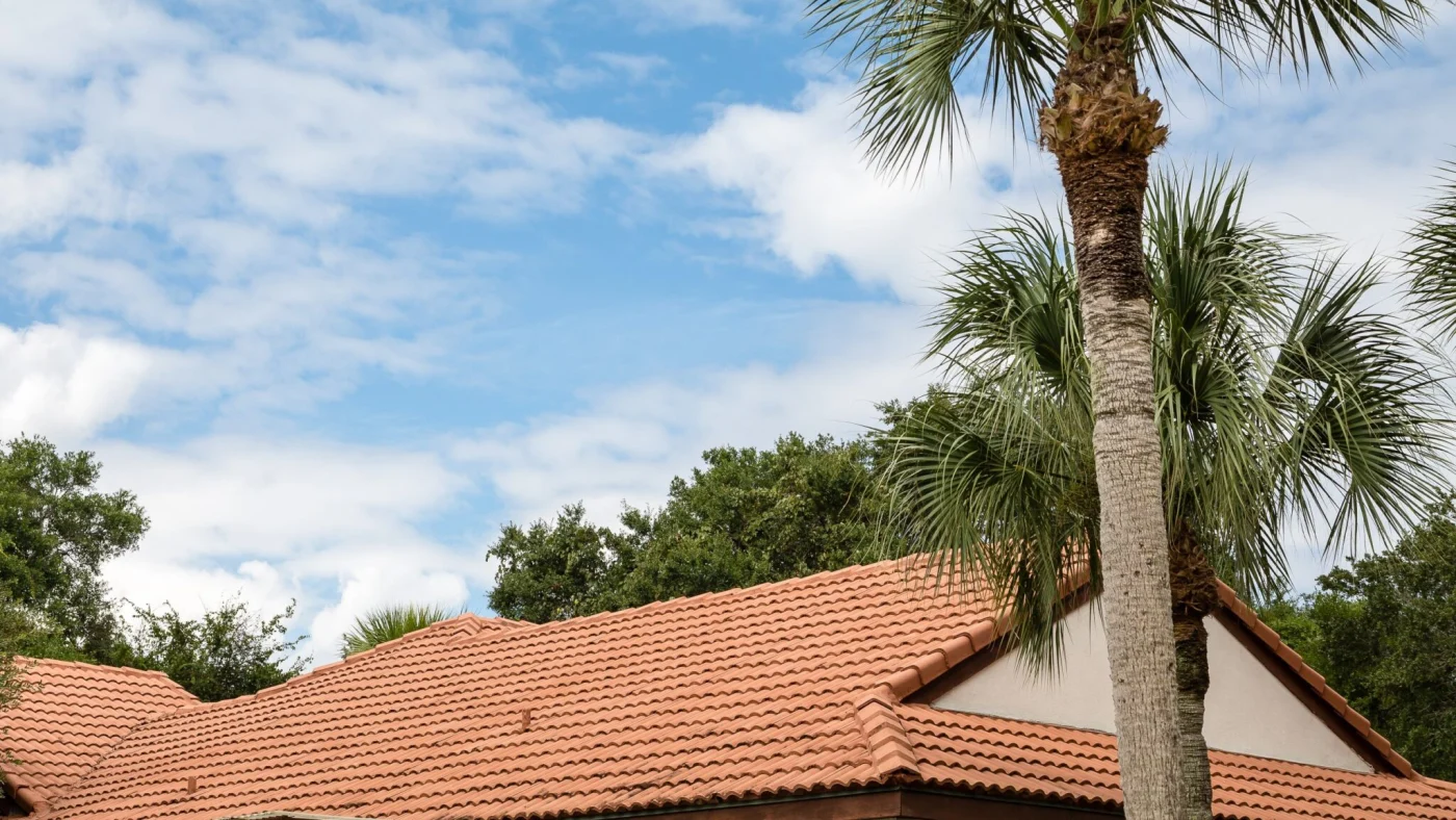 Tile Roof Under Tropical Trees Tile Roof Under Tropical Trees