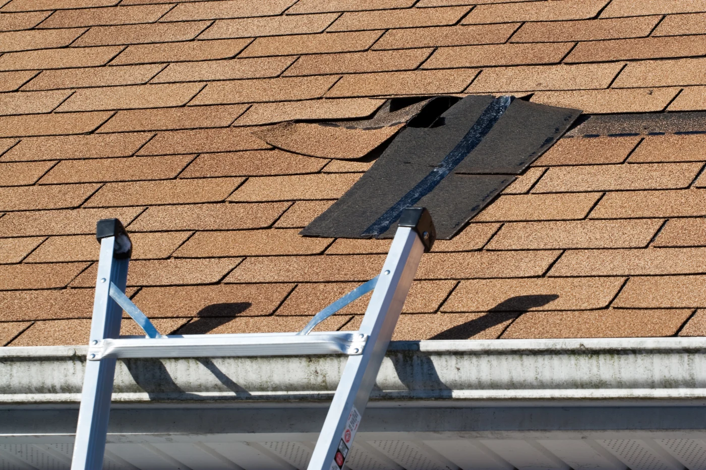 Torn shingles on asphalt shingle roof
