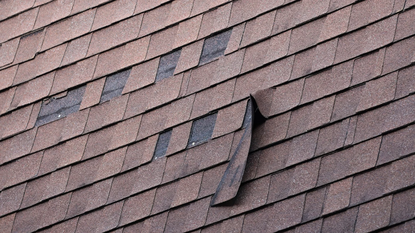 Closeup of missing asphalt shingles