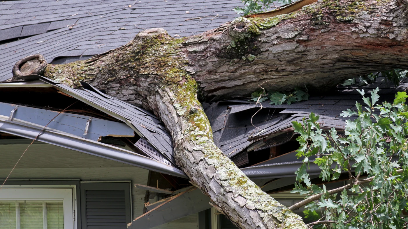 Storm Damage Experts | Central Florida | Universal Roof & Contracting A large tree limb has caused extensive damage to a roof in Central Florida | Universal Roof & Contracting