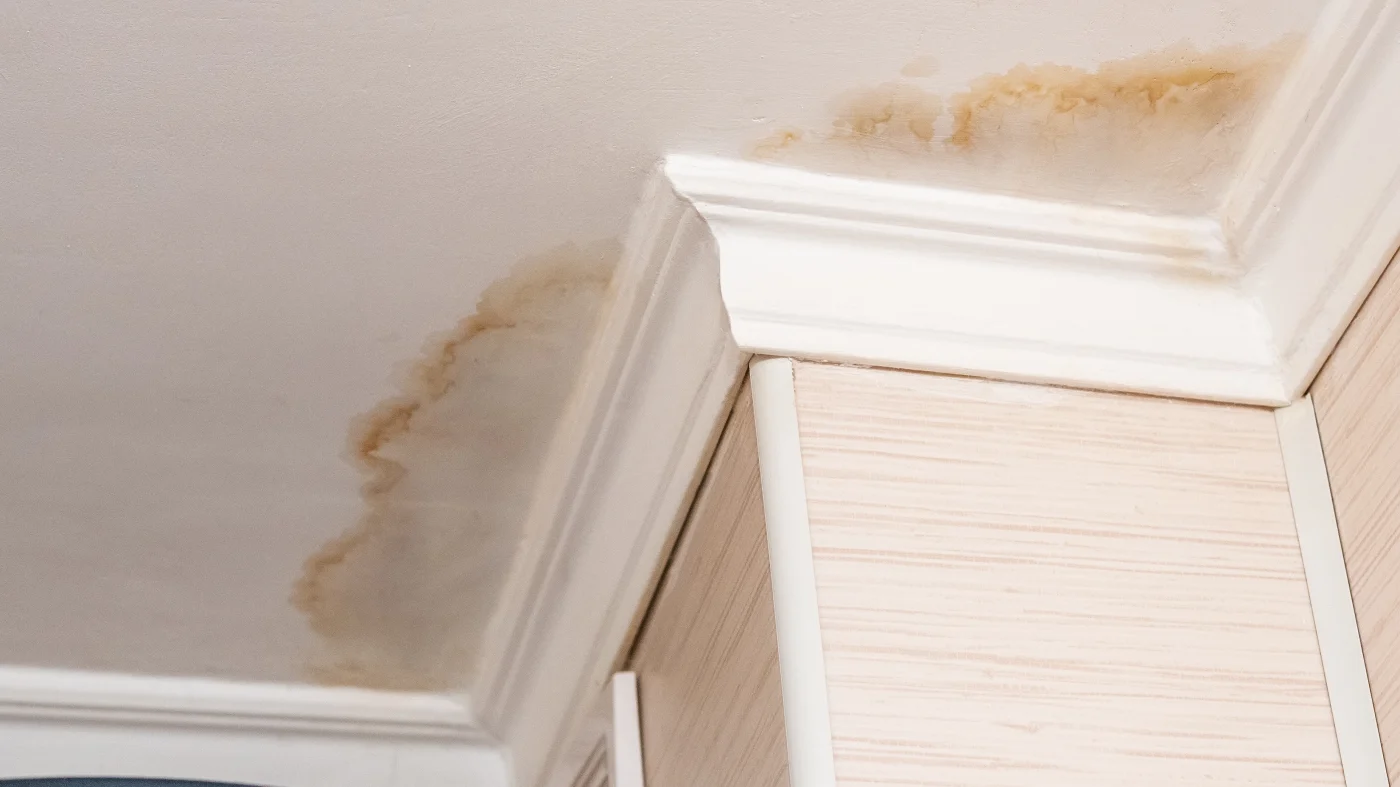Water damage on a ceiling