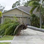 Storm-damaged Florida home with fallen palm trees blocking the driveway after a hurricane, highlighting the need for reliable roofing services and storm recovery support.