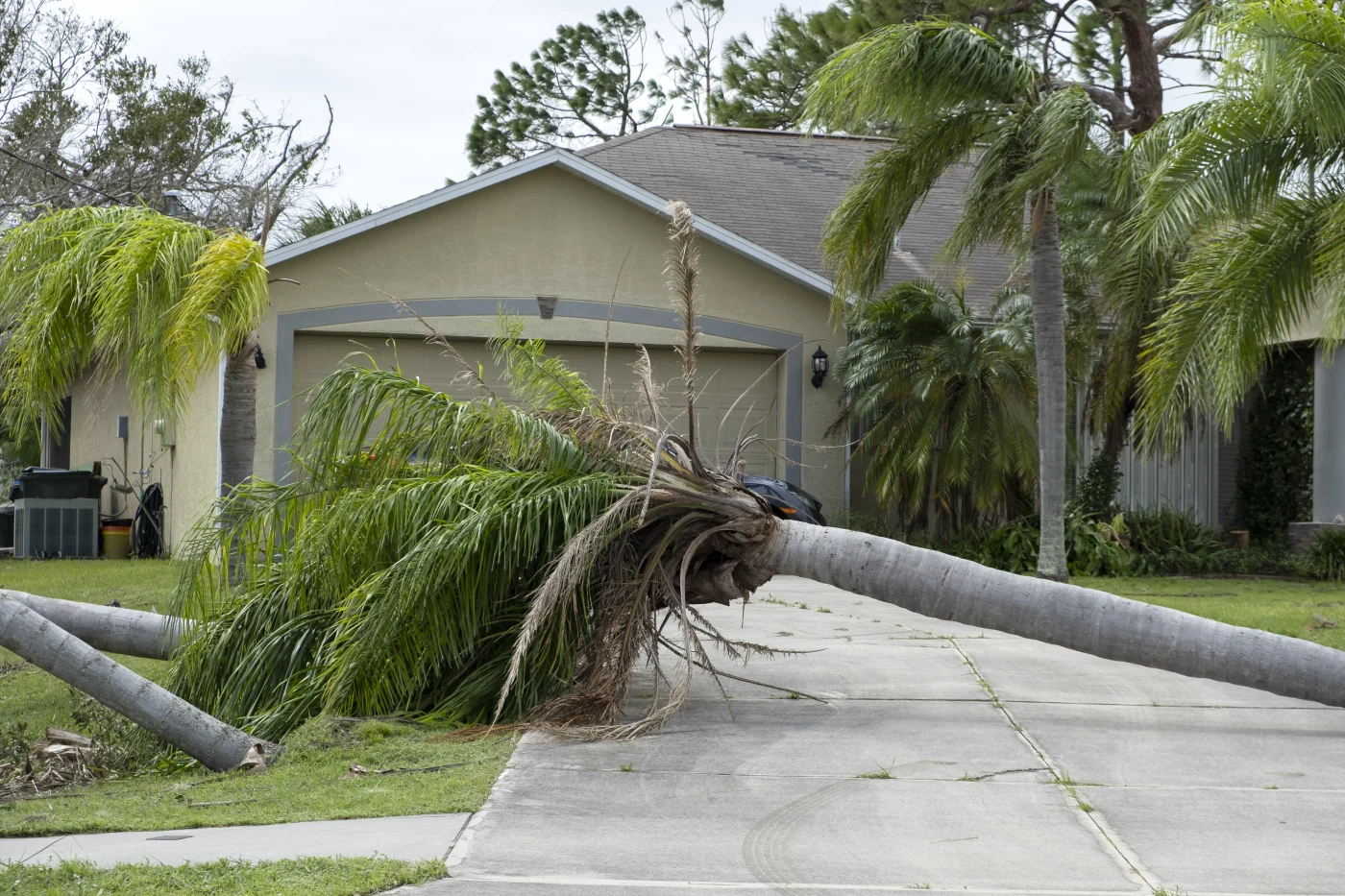 Integrity Is Essential To Reliable Roofing Services Central Florida Universal Roof And Contracting.png Storm-damaged Florida home with fallen palm trees blocking the driveway after a hurricane, highlighting the need for reliable roofing services and storm recovery support.